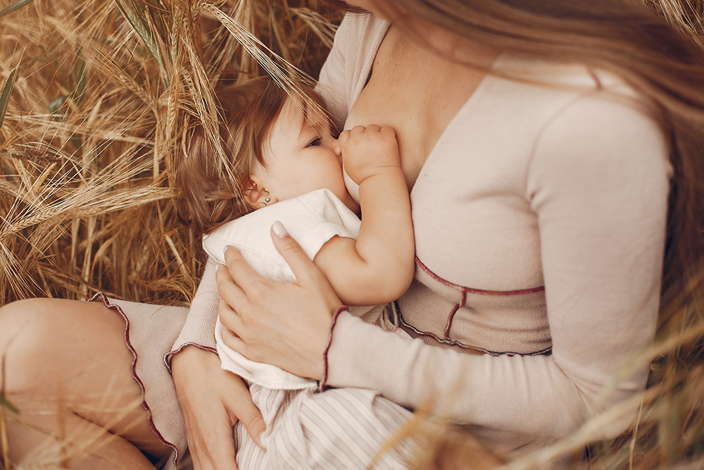 Pedido de Alimentos pensão alimentícia